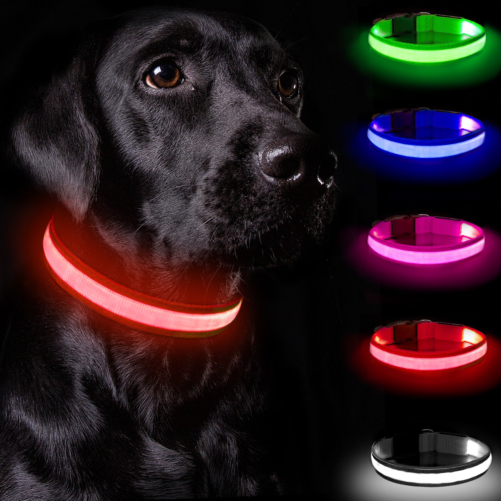 Light Up Dog Collar - Dog Collar Lights For The Dark Night, Adjustable