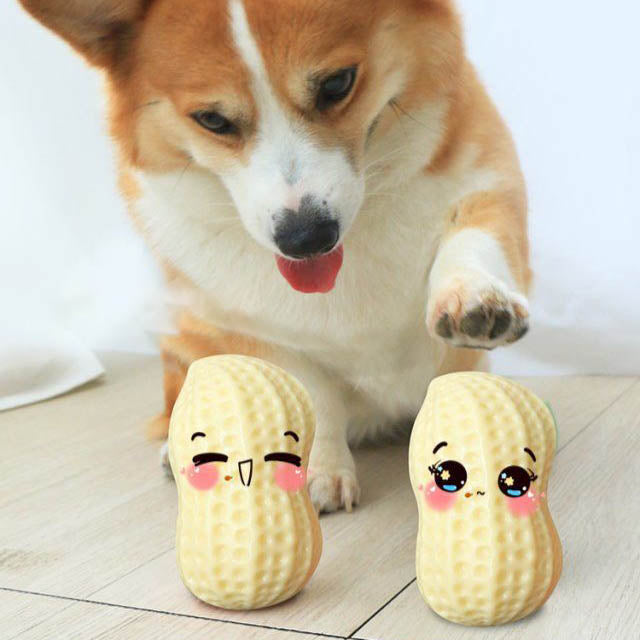 Funny Pet Dog Squeaky Toys For Small Middle Dogs Bite Resistant Puppy