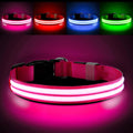 Collar LED recargable para perros, resistente al agua, para paseos nocturnos